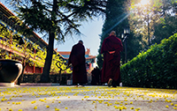 西黃寺博物館.jpg